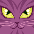 CrazyCat