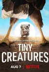 Tiny Creatures / Μικροσκοπικά Πλάσματα (2020)
