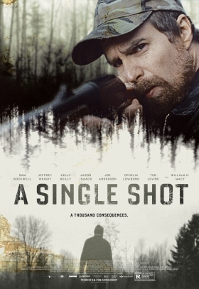 Με μια βολή / A Single Shot (2013)