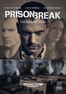 Prison Break: Sequel (2017) TV Series
