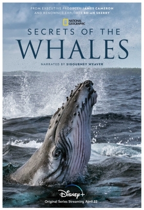 Μυστικα Των Φαλαινων / Secrets of the Whales (2021)