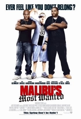 Malibu's Most Wanted / Η Απαγωγη Του Γιου (2003)