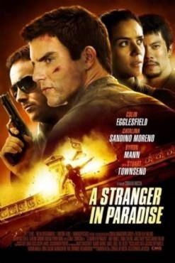 A Stranger in Paradise (2013)