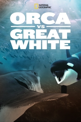 Shark vs. Whale (2020)