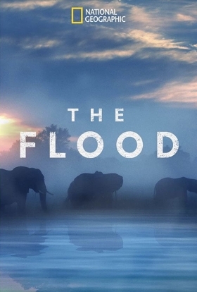 The Flood (2018)