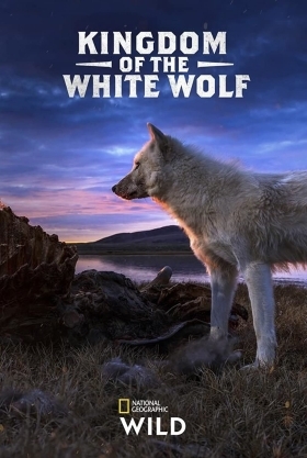Το Βασιλειο Των Λευκων Λυκων / Kingdom of the White Wolf (2019)