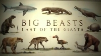 Big Beasts: Last of the Giants (2018)