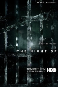The Night Of  (2016) TV Mini-Series