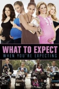 What to Expect When Youre Expecting 2012