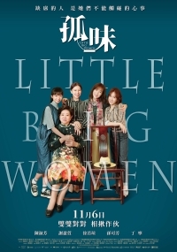 Μικρές και Μεγάλες Κυρίες / Little Big Women (2020)